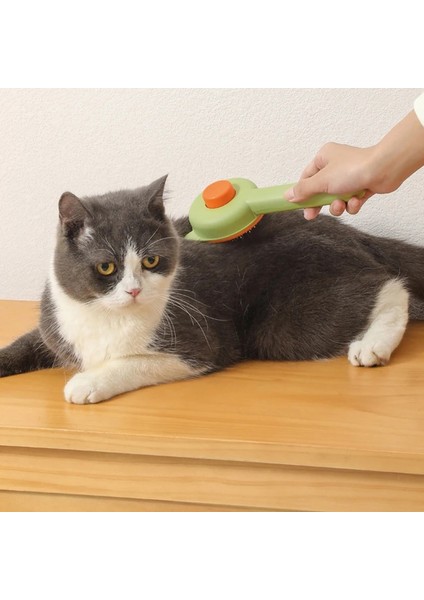 Stil 2 Kedi Fırça Evcil Hayvan Bakım Fırçası Kendi Kendini Temizleyen Slicker Fırça Kedi Köpek Epilasyon Karışık Pet Saç Masaj Tarak Kedi Aksesuarları (Yurt Dışından) modelleri
