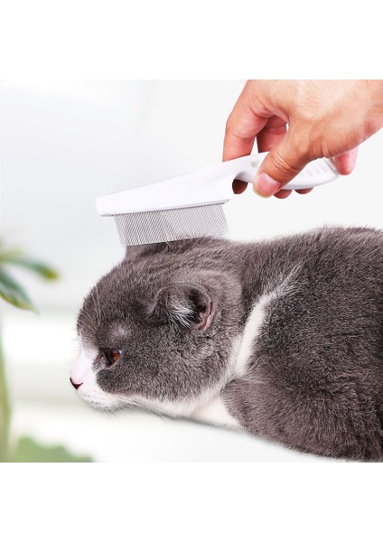 Stil 1 M Pet Tarak Pire Korumak Paslanmaz Çelik Tarak Konfor Pire Saç Bakım Kedi Temizleme Fırçası Evcil Hayvan Temizlik Malzemeleri (Yurt Dışından)