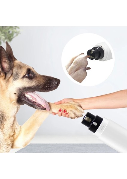 Pembe Taşınabilir Köpek Tırnak Öğütücü USB Şarj Edilebilir Elektrikli Köpek Tırnak Makası Evcil Hayvan Bakım Ekipmanları Kesme Makinesi Kedi Köpek Evcil Hayvan Tırnak Kesici (Yurt Dışından) fiyatları