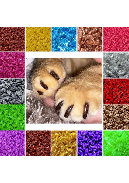 Çim Yeşili Xs Yeni Moda Renkli Kedi Tırnak Kapakları Yumuşak Kedi Pençesi Yumuşak Paws 20 Adet/grup Ücretsiz Yapışkan Tutkal ile Boyut Xs S M Lgift Evcil Hayvan Için (Yurt Dışından) indirimleri