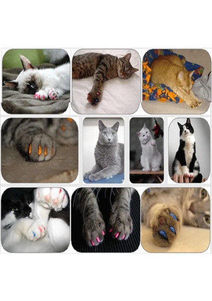 Mavi S 2.5-4 Kg 100 Adet/Grup Renkli Kediler Köpekler Yavru Paws Bakım Tırnak Pençe Kap Yumuşak Kauçuk Pet Tırnak Kapak Paws Koruyucu Kapaklar Pet Malzemeleri (Yurt Dışından) modelleri