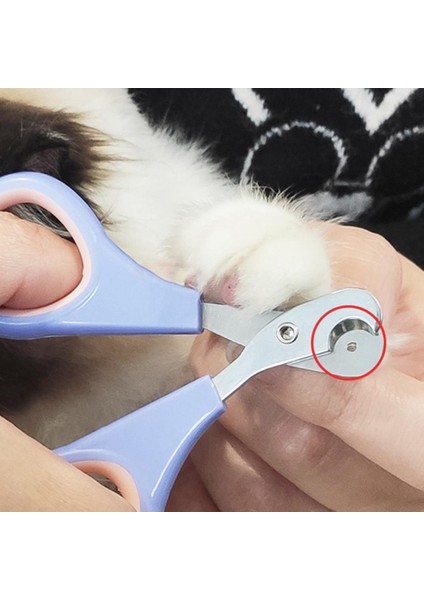 Pembe Mor Basit Evcil Hayvan Tırnak Makası Keskin Evcil Hayvan Tırnak Kesici Yeniden Kullanılabilir Pet Kedi Pençesi Tırnak Makası Emek Tasarrufu (Yurt Dışından) indirimleri