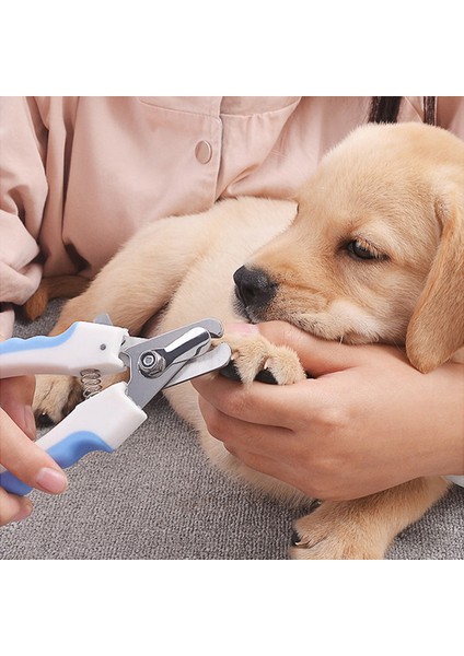 E Paslanmaz Profesyonel Evcil Hayvan Tırnak Makası Köpek Kedi Çelik Iki Renkli Emek Tasarrufu Sağlayan Tırnak Makası Uygun Güzellik Temizlik Malzemeleri (Yurt Dışından) modelleri