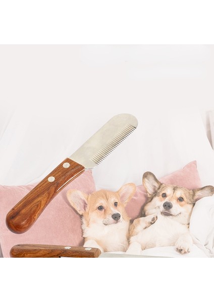 Çikolata Dayanıklı Pet Tıraş Bıçağı Kedi Saç Bakım Tarağı Fırça Makası Çekme Temizleme Güzellik Araçları Yavru Köpek (Yurt Dışından) fiyatları