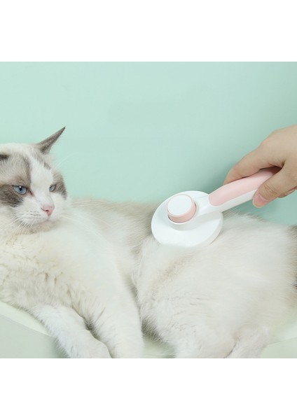 Köpek ve Kedi Için Pembe Kendi Kendini Temizleyen Slicker Fırça Astarı Kaldırır Karışık Saç Masajları Parçacık Pet Tarak Dolaşımını Artırır Evcil Hayvanlar (Yurt Dışından) fiyatları