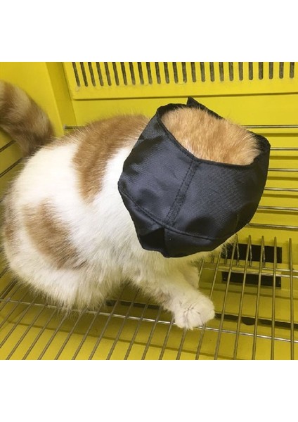 Siyah Takım Elbise 1-2.5 kg Nefes Naylon Kedi Ağızlıklar Yavru Yüz Maskeleri Damat Yardımcıları Banyo Anti-Isırma Kedi Bakım Araçları Için Çizilmez Evcil Hayvan Malzemeleri (Yurt Dışından) indirimleri