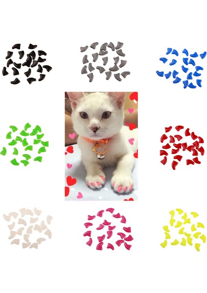 Beyaz M 20 Adet Yumuşak Plastik Renkli Kedi Tırnak Kapakları Pençe Pençe Koruyucu Kapak Tutkal ile Profesyonel Pet Tırnak Kapakları Pet Kediler Için (Yurt Dışından) modelleri