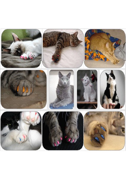Kırmızı S 2.5-4 kg 100 Adet/ grup li Kediler Köpekler Yavru Paws Bakım Tırnak Pençe Kap Yumuşak Kauçuk Pet Tırnak Kapak Paws Koruyucu Kapaklar Pet Malzemeleri (Yurt Dışından) fırsatları