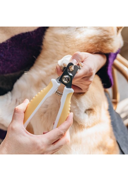 Sarı L Pet Paslanmaz Çelik Tırnak Makası Kedi Güvenlik Tırnak Makası Pet Köpek Temizleme ve Tırnak Geliştirme Araçları S/l (Yurt Dışından) indirimleri
