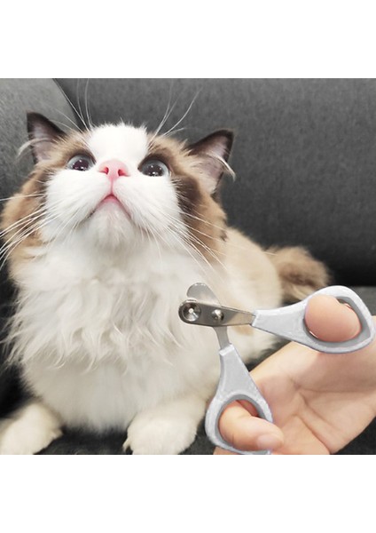 1c Profesyonel Evcil Hayvan Tırnak Makası Çelik Köpek Kedi Tırnak Makası Emek Tasarrufu Sağlayan Tırnak Makası Uygun Köpek Bakım Malzemeleri (Yurt Dışından) modelleri