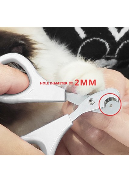 1c Profesyonel Evcil Hayvan Tırnak Makası Çelik Köpek Kedi Tırnak Makası Emek Tasarrufu Sağlayan Tırnak Makası Uygun Köpek Bakım Malzemeleri (Yurt Dışından) fırsatları