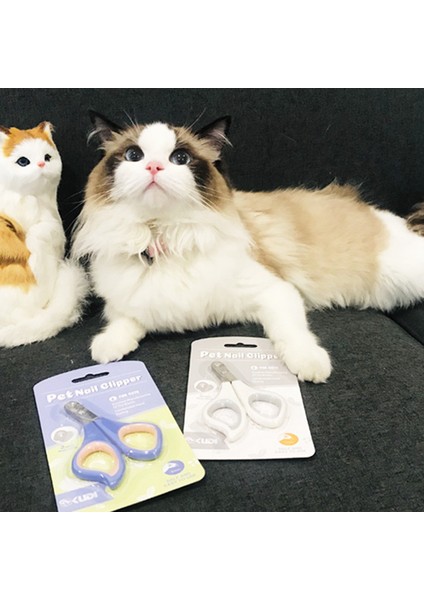 1c Profesyonel Evcil Hayvan Tırnak Makası Çelik Köpek Kedi Tırnak Makası Emek Tasarrufu Sağlayan Tırnak Makası Uygun Köpek Bakım Malzemeleri (Yurt Dışından) indirimleri