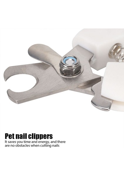 A S Köpek Tırnak Makası Evcil Hayvan Tırnak Makası Köpekler Için Clipper Makas Köpekler Için Paslanmaz Çelik Kedi Tırnak Makası Kesici Pet Köpek Malzemeleri (Yurt Dışından) fiyatları