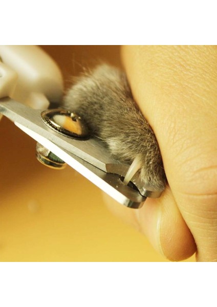 B Paslanmaz Profesyonel Evcil Hayvan Tırnak Makası Köpek Kedi Çelik Iki Renkli Emek Tasarrufu Sağlayan Tırnak Makası Uygun Güzellik Temizlik Malzemeleri (Yurt Dışından) indirimleri