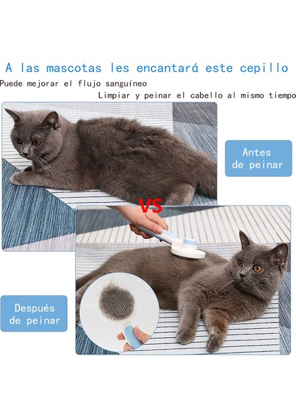Siyah Pet Kedi Fırça Köpek Tarak Saç Pet Saç Tarak Kaldırır Kendi Kendini Temizleyen Slicker Fırça Kediler Köpekler Karışık Saç Güzellik Ürünleri Kaldırır (Yurt Dışından) fırsatları