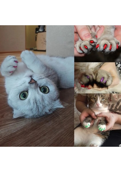 Koyu Pembe S Yeni Moda Renkli Kedi Tırnak Kapakları Yumuşak Kedi Pençesi Yumuşak Paws 20 Adet/grup Yapışkan Tutkal ile Boyut Xs S M Lgift Evcil Hayvan Için (Yurt Dışından) fırsatları