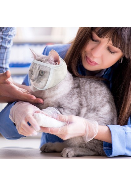 Beyaz S Şeffaf Pet Kedi Namlu Ayarlanabilir Nefes Küçük Evcil Hayvan Bakım Namlu Yüz Koruma Kedi Malzemeleri (Yurt Dışından) fırsatları