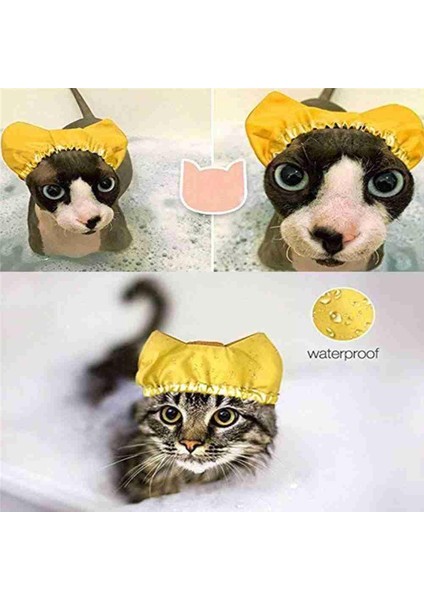Altın M Yeni Duş Caps Kedi Banyo Anti-Kulak Su Hood Evcil Hayvanlar Su Geçirmez Kapaklar Ayarlanabilir Kulak Geçirmez Banyo Şapkası Pet Bakım Tedarikçisi G6P1 (Yurt Dışından) fiyatları