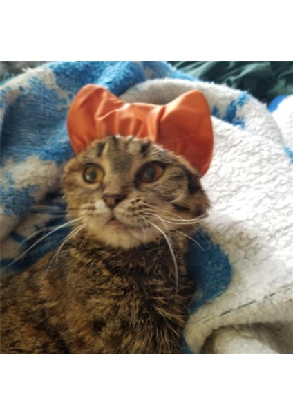 Altın M Yeni Duş Caps Kedi Banyo Anti-Kulak Su Hood Evcil Hayvanlar Su Geçirmez Kapaklar Ayarlanabilir Kulak Geçirmez Banyo Şapkası Pet Bakım Tedarikçisi G6P1 (Yurt Dışından) fırsatları