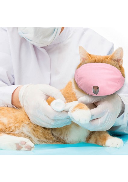 Pembe Takım Elbise 1-2.5 kg Nefes Naylon Kedi Ağızlıklar Yavru Yüz Maskeleri Damat Yardımcıları Banyo Anti-Isırma Anti-Scratch Kedi Bakım Araçları Için Pet Malzemeleri (Yurt Dışından) fırsatları