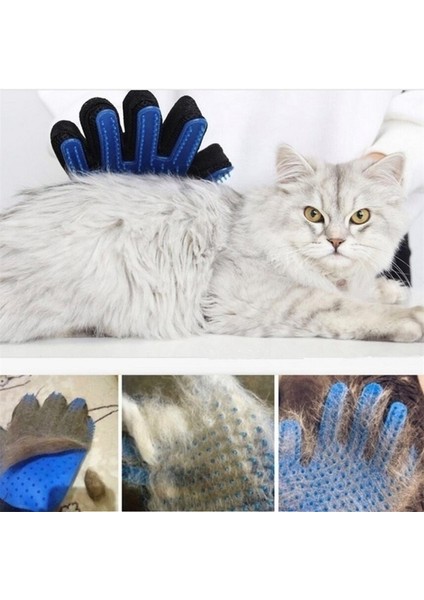 Koyu Mavi Sol Pet Eldiven Kedi Eldivenleri Silikon Kedi Bakım Eldiveni Köpek Fırçası Kediler Saç Tarak Temiz Evcil Hayvan Ürünleri Kedi Köpek Temizleme Için (Yurt Dışından) indirimleri