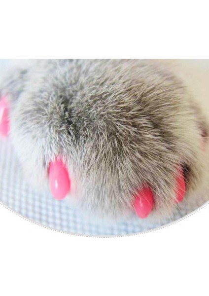 Pembe S 20 Adet Yumuşak Kedi Tırnak Kapakları / Kedi Tırnak Kapağı / Pençe Pençesi / Ücretsiz Tutkal ve Aplikatör ile Pet Silikon Tırnak Koruyucu / Boyut Xs S M L (Yurt Dışından)