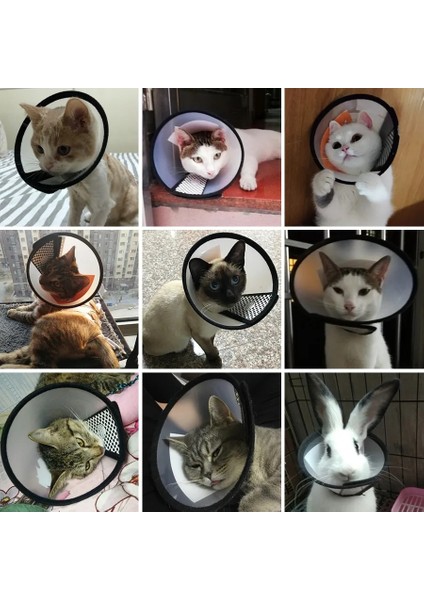 Beyaz 4 Postoperatif Pet Bakım Kapağı Kedi Aksesuarları Kediler Için Yara Iyileşmesi Koni Köpek Tasması Gato Kedi Koruyucu Mascotas Malzemeleri (Yurt Dışından) fırsatları