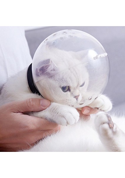 Şeffaf M Kedi Uzay Hood Top Şeklinde Yalama Önleyici Nefes Yavru Kedi Kafası Koruyucu Kapak Evcil Hayvan Bakımı Kedi Kafası Koruyucu Kılıf Yavru Kask (Yurt Dışından) modelleri
