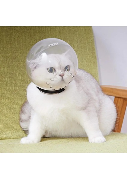 Şeffaf M Kedi Uzay Hood Top Şeklinde Yalama Önleyici Nefes Yavru Kedi Kafası Koruyucu Kapak Evcil Hayvan Bakımı Kedi Kafası Koruyucu Kılıf Yavru Kask (Yurt Dışından) indirimleri