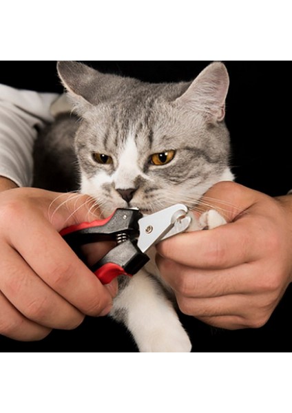 Beyaz Mavi S 2023 Yeni Profesyonel Pet Kedi Köpek Tırnak Makası Kesici Orak Paslanmaz Çelik Bakım Makası Clippers Pet Köpek Pençeleri (Yurt Dışından) fırsatları