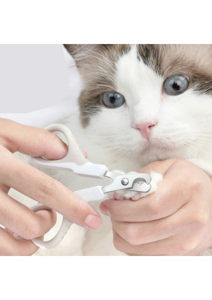 Siyah Kedi Tırnak Makası Küçük Yavru Yavru Profesyonel Köpek Pençeleri Kesici Evcil Hayvan Çivi Makas Düzeltici Bakım Ve Bakım Kedi Aksesuarları (Yurt Dışından) modelleri