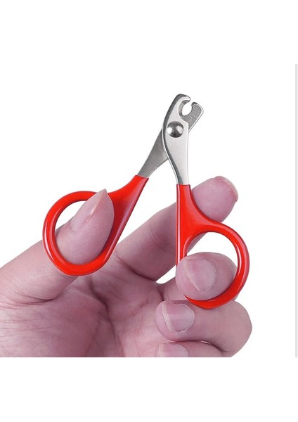 Siyah Kedi Tırnak Makası Küçük Yavru Yavru Profesyonel Köpek Pençeleri Kesici Evcil Hayvan Çivi Makas Düzeltici Bakım Ve Bakım Kedi Aksesuarları (Yurt Dışından) indirimleri