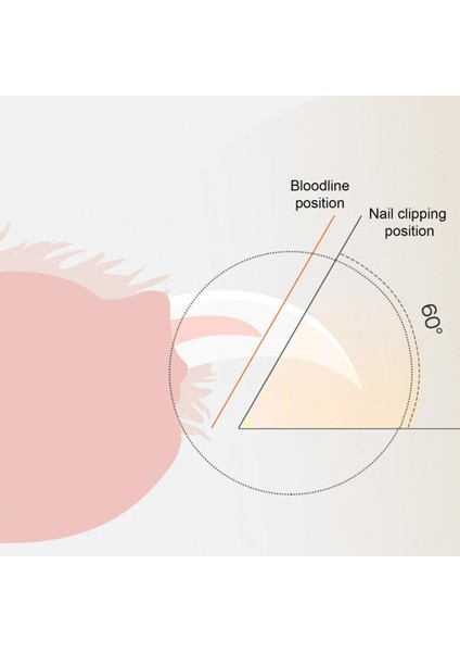 Yeşil Dayanıklı Pet Tırnak Giyotin Yeniden Kullanılabilir Evcil Hayvan Tırnak Makası Sertlik Led Işık Pet Köpek Kedi Tırnak Temizleme Giyotin Emek Tasarrufu (Yurt Dışından) fiyatları