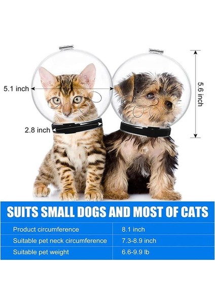 Kutu ile 4 Ayak Örtüsü Xl Kedi Namlu Kedi Kaskı Ayarlanabilir Başlık Nefes Alabilir Anti Bite Ağızlıklar Kedilerin Küçük Köpeklerin Küçük Evcil Hayvanlar Için Isırmasını Önler Bakım (Yurt Dışından) indirimleri