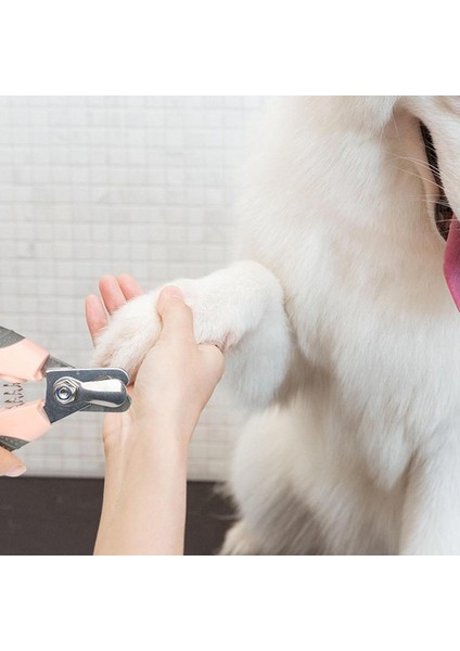 R Köpek Tırnak Makası Kedi Tırnak Giyotin Bakım Keskin Bıçaklar Kedi Evcil Hayvanlar Tırnak Makası ve Düzelticiler Güvenlik Görevlisi ile Önlemek Için (Yurt Dışından) indirimleri