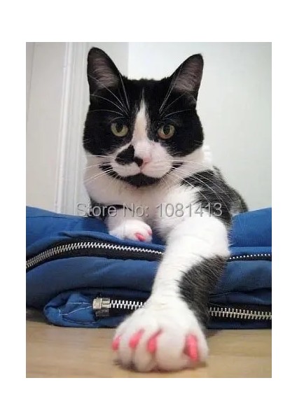 Yeşil Parıltı L 20 Adet/grup Yumuşak Kedi Silikon Tırnak Kapakları Yumuşak Kedi Paw Pet Tırnak Koruyucu Yapışkan Tutkal ve Aplikatör ile Boyut Xs S M L (Yurt Dışından) fırsatları