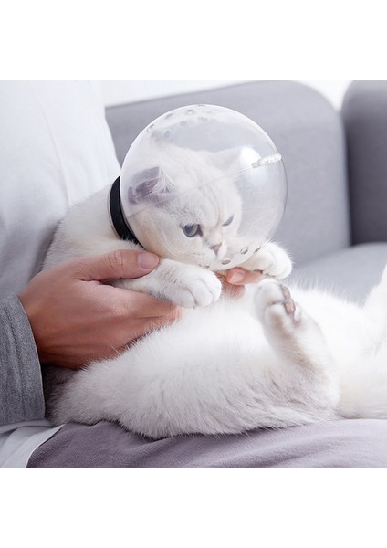 Uzay Topu Maskesi M-Takım Elbise 3-4.5 kg Uzay Topu Pet Bakım Kapak Aksesuarları Kediler Için Nefes Köpek Kedi Namlu Maskesi Kask Sphynx Katten Gotas Banyo Malzemeleri (Yurt Dışından) fiyatları