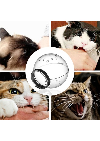Anti-Bite Hood Anti-Yalama Bakım Maskesi Koruyucu Uzay Hood Kedi Namlu Kedi Bakım Malzemeleri Banyo Bakım Anti-Bite Nefes (Yurt Dışından) fırsatları
