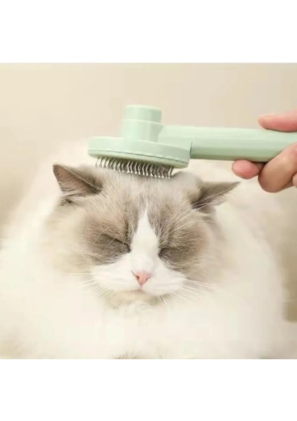 Sarı Kedi Fırça Pet Epilasyon Fırçası Kendi Kendini Temizleyen Slicker Fırça Kediler Köpekler Için Saç Çıkarıcı Kazıyıcı Yavru Tarak Bakım Aksesuarları (Yurt Dışından) indirimleri