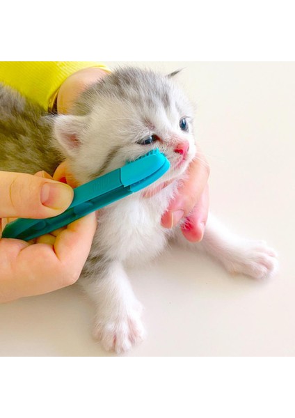 Mavi Çevre Dostu Yavru Kedi Göz Ovmak El Kedi Gözü Silme Ovmak Gözler Kaka Fırçası Temizleme Yeniden Kullanılabilir Toka Tasarım Pet Tarak Gözyaşı Leke Fırçası (Yurt Dışından) fırsatları
