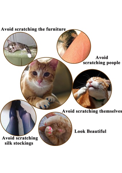 Siyah M 100 Adet Yeni Moda Kedi Tırnak Kapakları Yumuşak Kedi Pençesi Kapaklar Kedi Tırnak Koruyucu Ücretsiz Yapıştırıcı ve Aplikatör ile Boyutu Xs S M L (Yurt Dışından)