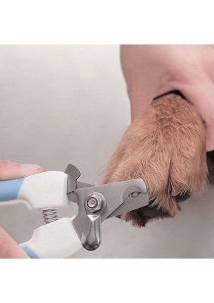 Mavi Küçük Tırnak Törpüsü Profesyonel Pet Paslanmaz Çelik Tırnak Makası Köpek Kedi Emek Tasarrufu Sağlayan Tırnak Makası Uygun Güzellik Temizlik Malzemeleri (Yurt Dışından)
