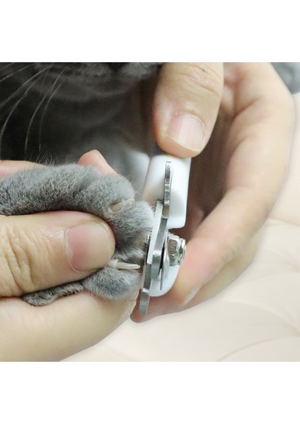 Mavi L Iki Renk Profesyonel Evcil Hayvan Tırnak Makası Köpek Kedi Paslanmaz Çelik Orak Güzellik Temizlik Malzemeleri ile Emek Tasarrufu Sağlayan Tırnak Kesici (Yurt Dışından) indirimleri