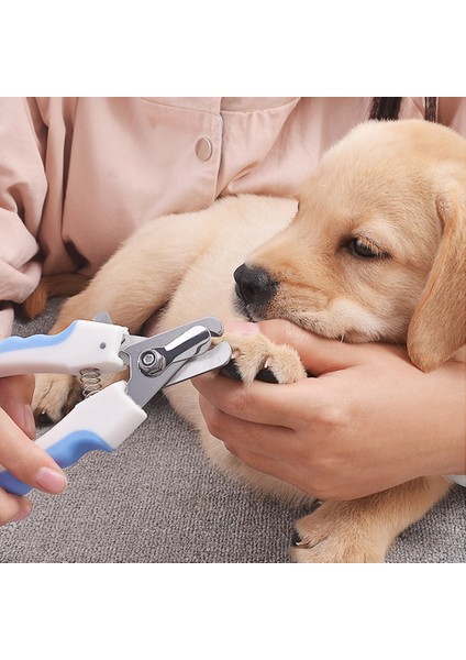 Siyah B L Köpek Tırnak Makası Kedi Tırnak Makası Küçük Büyük Evcil Hayvanlar Için Paslanmaz Çelik Tırnak Makası, Aşırı Kesmeyi Önlemek Için Güvenlik Korumalı (Yurt Dışından) indirimleri