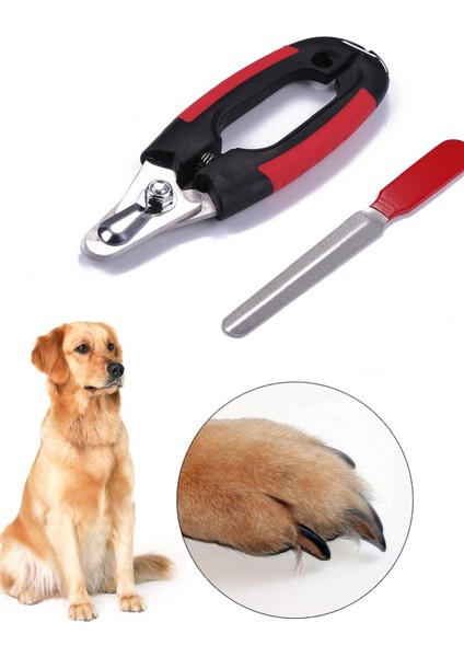 L Tırnak Makası Köpek Tırnak Makası Evcil Hayvan Tırnak Makası Kesici Orak Paslanmaz Çelik Bakım Makası Makası Evcil Hayvan Pençeleri Köpek Malzemeleri (Yurt Dışından) modelleri