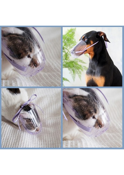 Mor L Nefes Kedi Köpek Namlu Anti-Bite Bakım Maskesi Pet Yavru Ağız Maskesi Kapak Namlu Bir Kedi Banyo Temizleme Aracı Için Cosas Para Gat (Yurt Dışından) modelleri