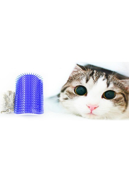 1 Adet Pet Tarak Mavi Kedi Köşe Damat Sürtünme Fırçası Pet Epilasyon Masaj Kırpma Evcil Hayvan Bakım Temizlik Malzemeleri (Yurt Dışından) fiyatları