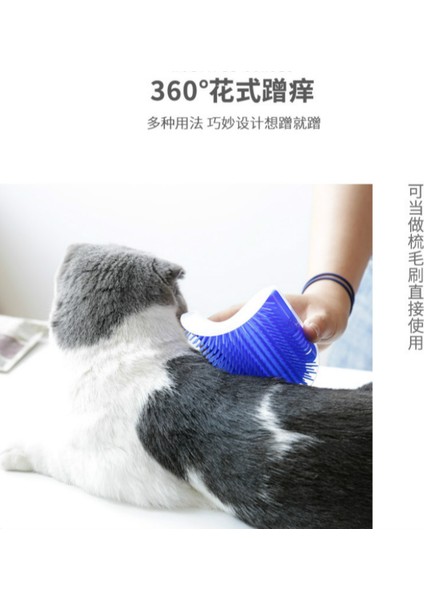 1 Adet Pet Tarak Mavi Kedi Köşe Damat Sürtünme Fırçası Pet Epilasyon Masaj Kırpma Evcil Hayvan Bakım Temizlik Malzemeleri (Yurt Dışından) indirimleri