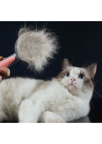 Yeşil Temizlik Kedi Plastik Soluk Tarak Köpekler Saç Çıkarıcı Fırça Pet Açık Düğüm Kürk Masaj Köpek Aksesuarları Için Taşınabilir Bakım Malzemeleri (Yurt Dışından) fırsatları