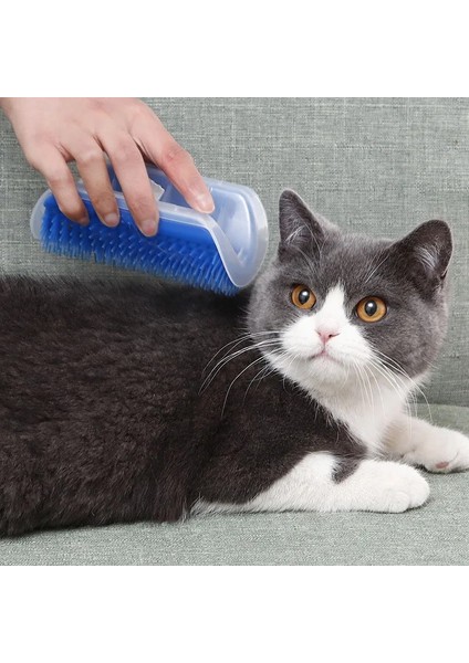 Mavi Köşe Pet Kedi Fırça Kediler Masaj Kendini Damat Tarak Epilasyon Fırçaları Köpekler Kediler Yavru Bakım Taraklar ile Catnip (Yurt Dışından)